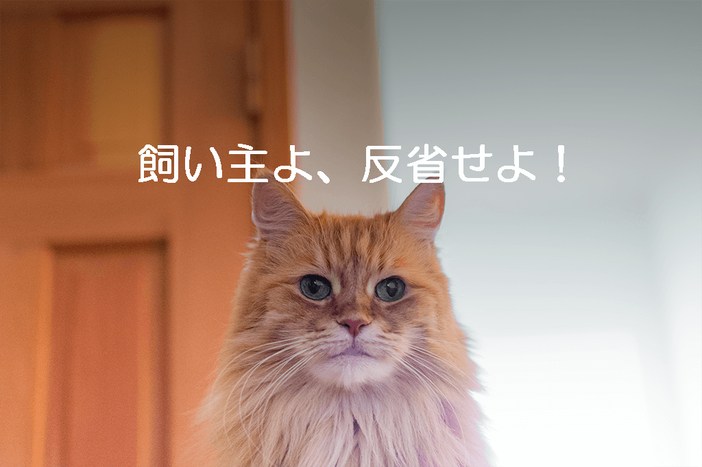 うなる 天皇 酔う 猫 ブラッシング しない Bloma Jp