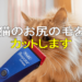 猫のお尻の毛をカット